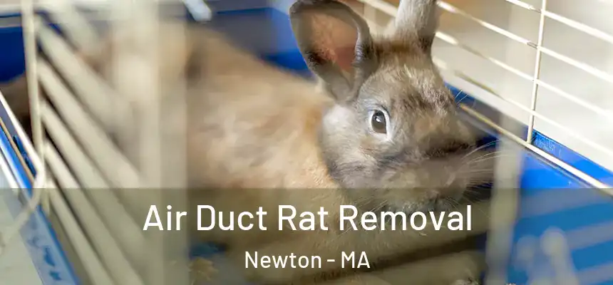 Air Duct Rat Removal Newton - MA