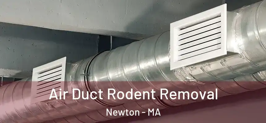 Air Duct Rodent Removal Newton - MA