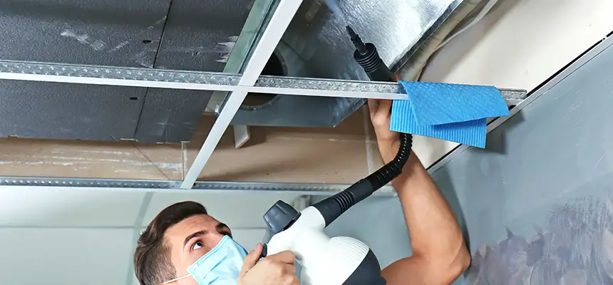 Our Air Duct Rodent Removal Services in Newton, MA