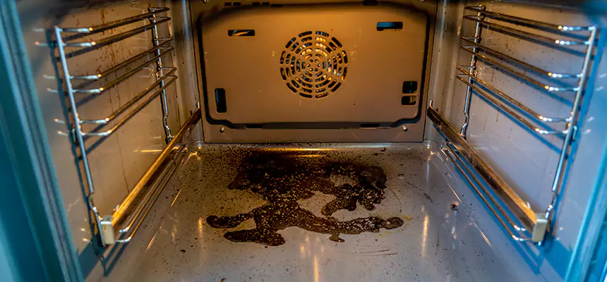 Our Dryer Vent Mold Cleaning Services in Newton, MA