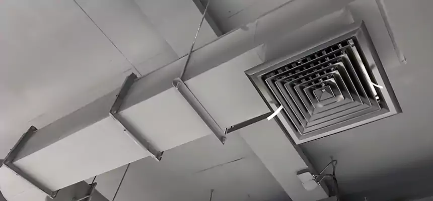 Our Pest Removal From Ducts Services in Newton, MA