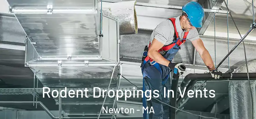  Rodent Droppings In Vents Newton - MA