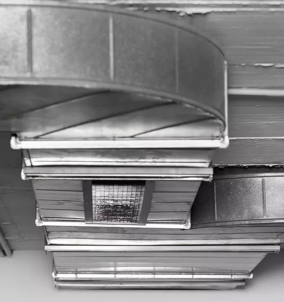 Professional Air Duct Pest Removal in Newton, MA