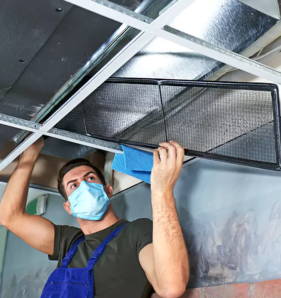 Professional Air Duct Pollen Cleaning in Newton, MA