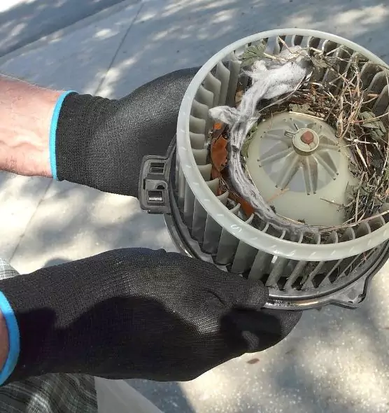 About Air Duct Rat Removal in Newton, MA