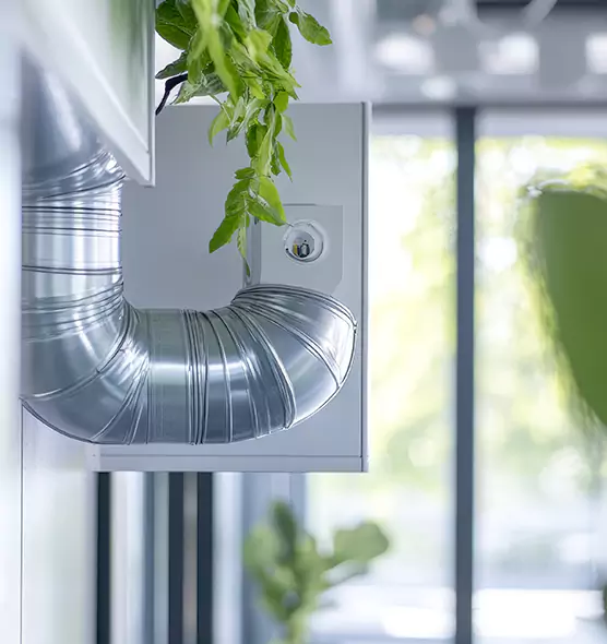 Professional Eco-Safe Dryer Vent Cleaning in Newton, MA