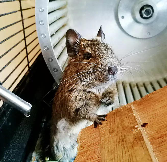 Why Homeowners & Businesses Trust Us Newton, MA