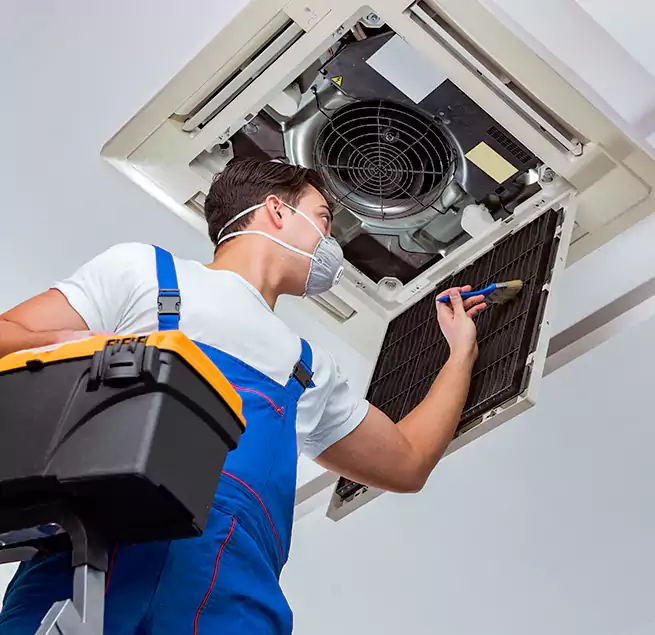 Why Homeowners & Businesses Trust Us in Newton, MA?