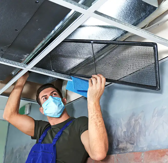 Why Homeowners & Businesses Trust Us in Newton, MA?