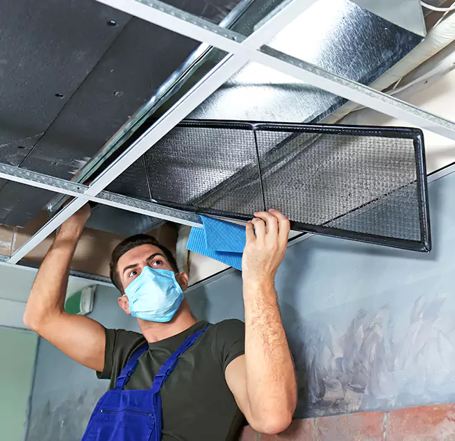 Why Homeowners & Businesses Trust Us in Newton, MA?